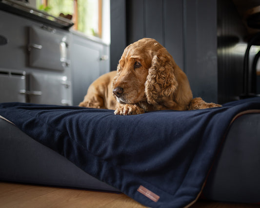 Country Fleece Dog Blanket