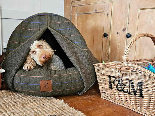 Deluxe Comfort Cocoon Dog Bed