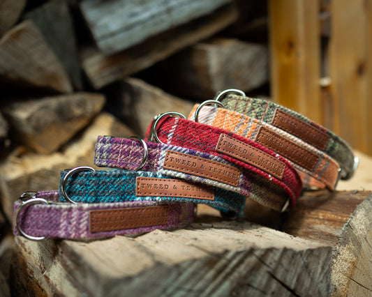 Tweed & Tartan Dog Collar