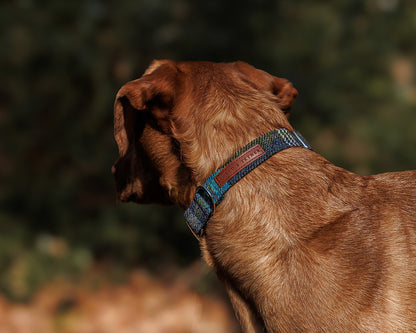 Tweed & Tartan Dog Collar