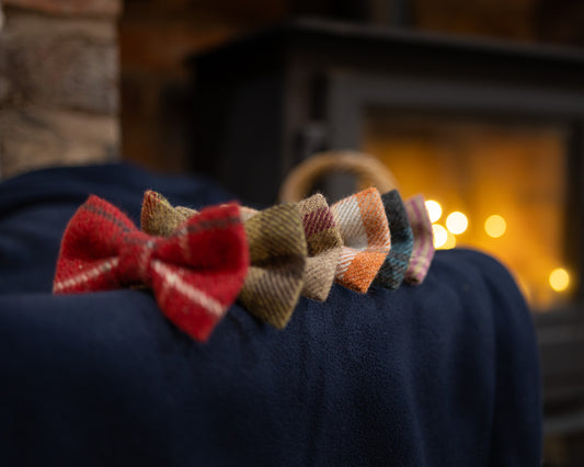 Tweed & Tartan Dog Bow Tie