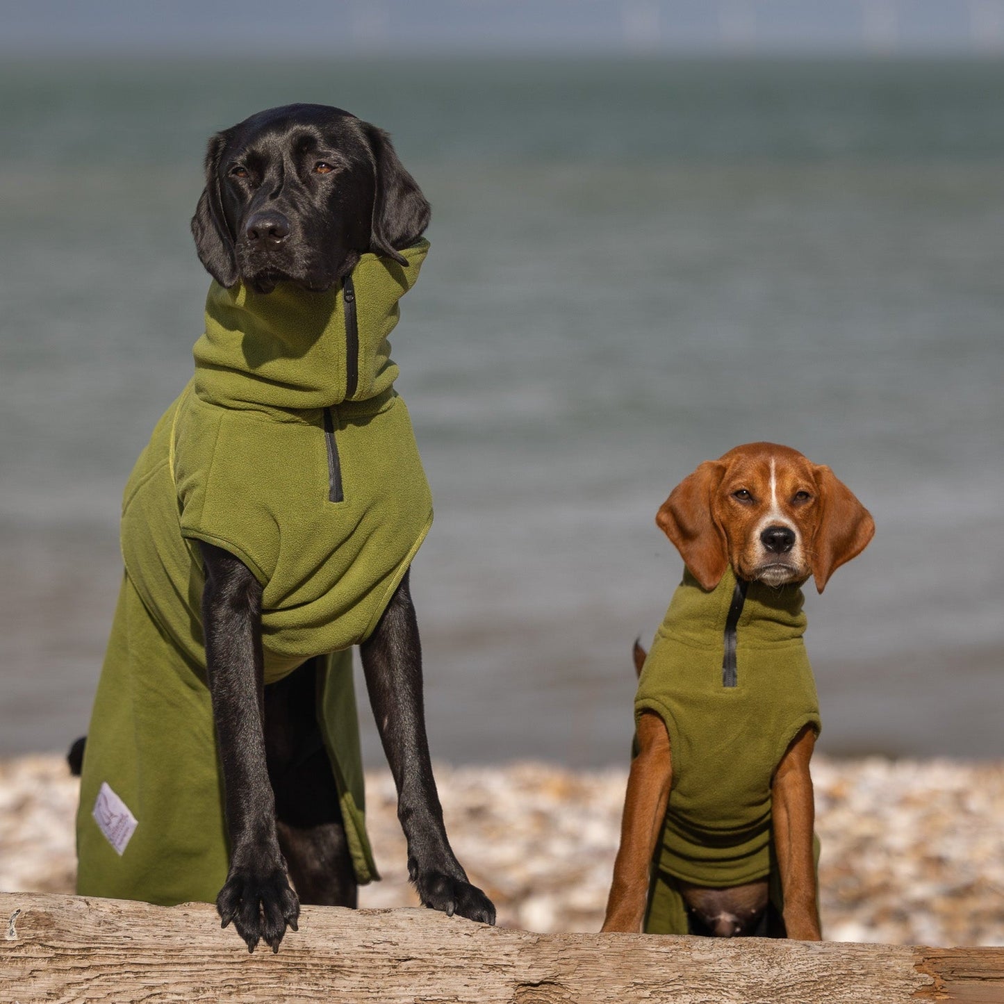Superior Perfectly Practical Dog Drying Coat