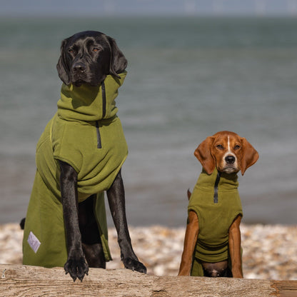Superior Perfectly Practical Dog Drying Coat