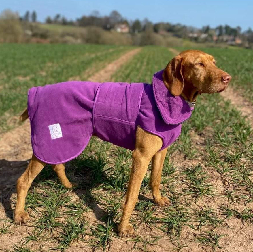 Superior Perfectly Practical Dog Drying Coat