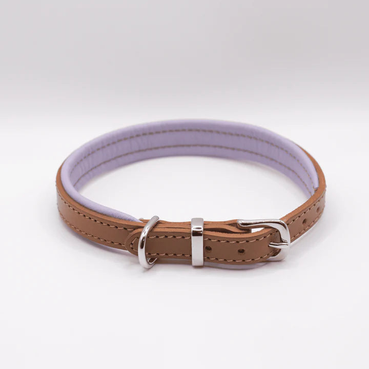 Padded Leather Collar