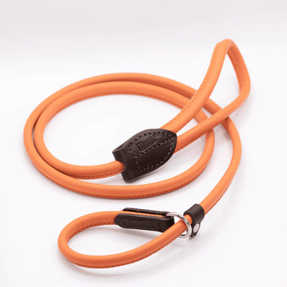 Rolled Soft Leather Slip Lead