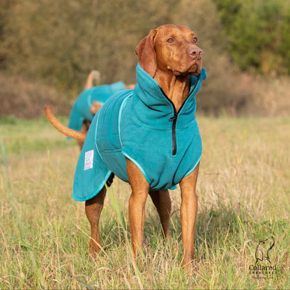 Superior Perfectly Practical Dog Drying Coat