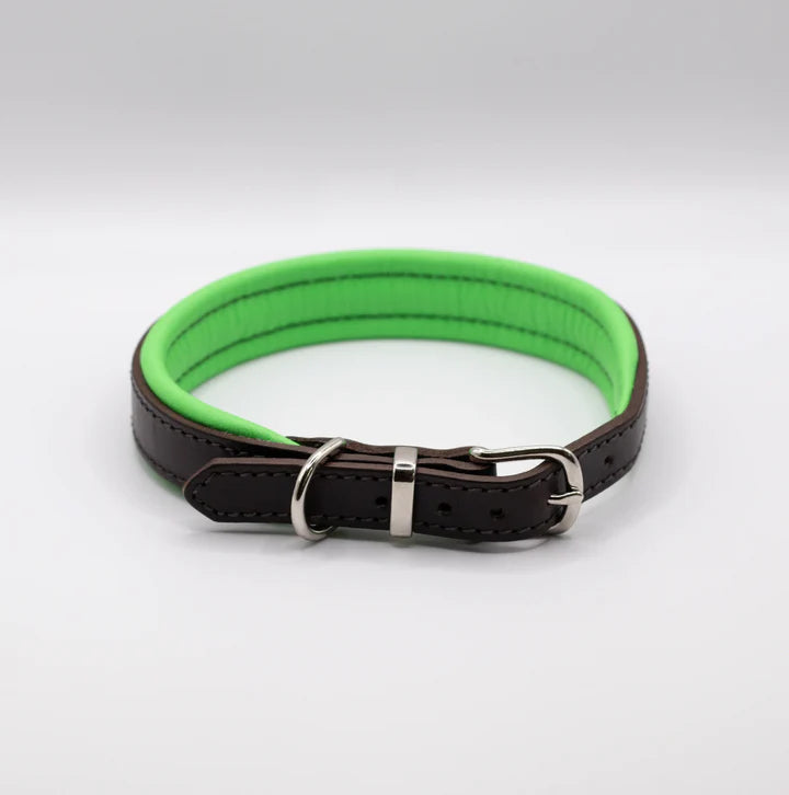 Padded Leather Collar