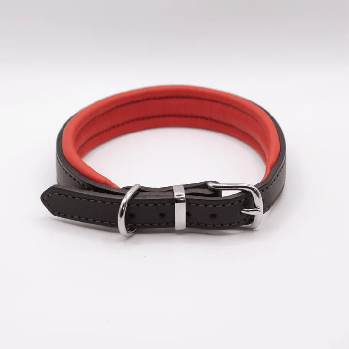 Padded Leather Collar