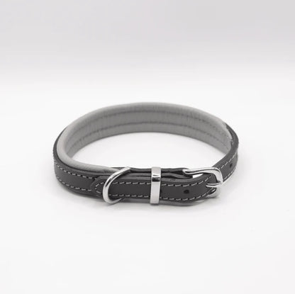 Padded Leather Collar