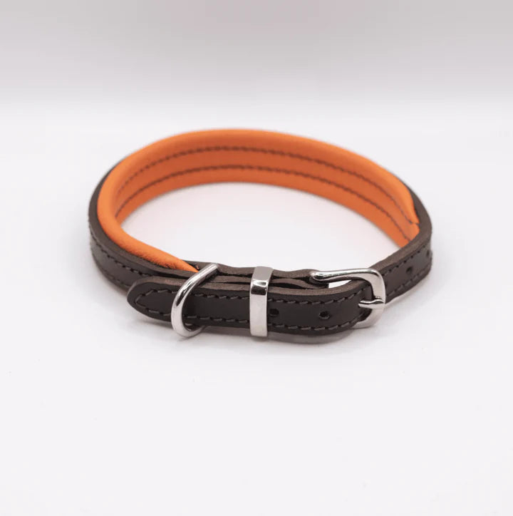 Padded Leather Collar