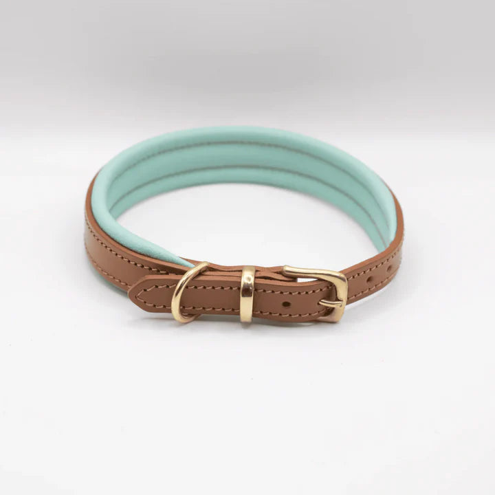 Padded Leather Collar
