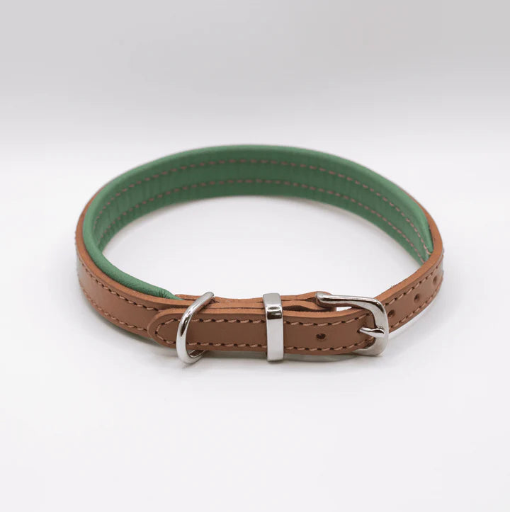 Padded Leather Collar