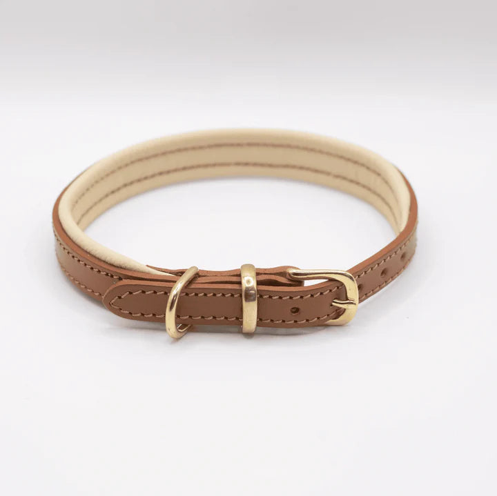 Padded Leather Collar