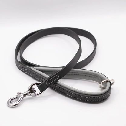 Padded Leather Dog Lead