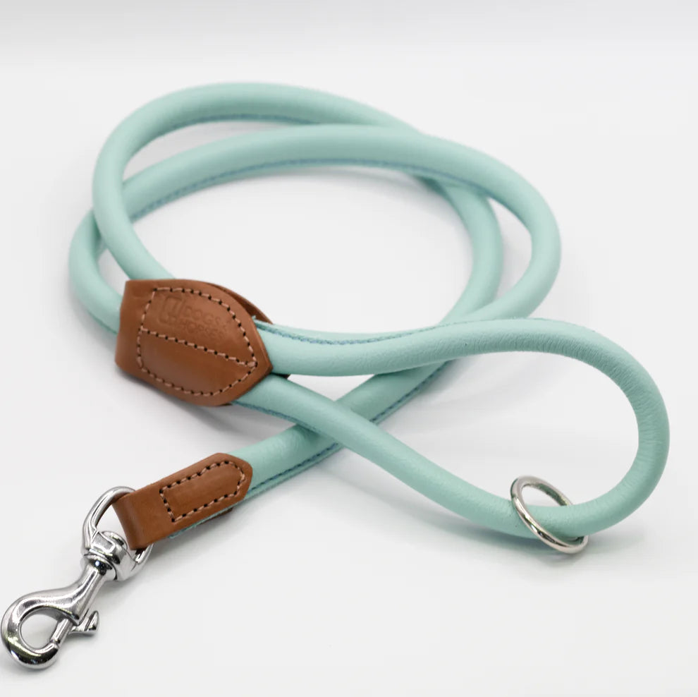 Rolled Soft Leather Lead