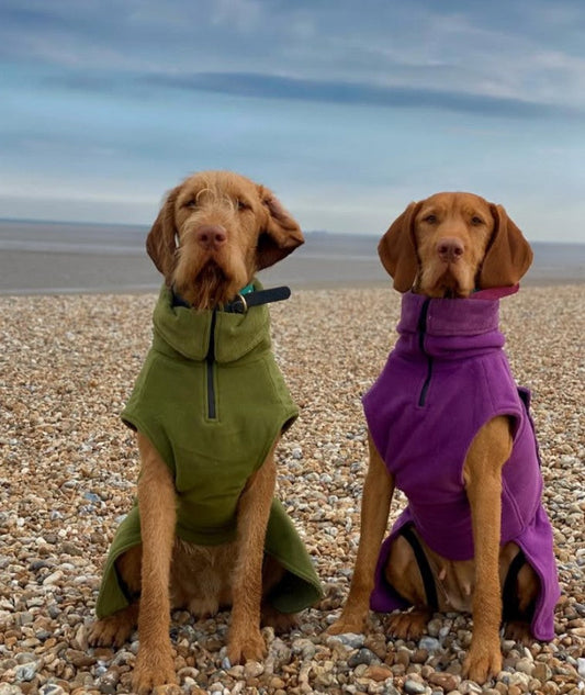 Superior Perfectly Practical Dog Drying Coat