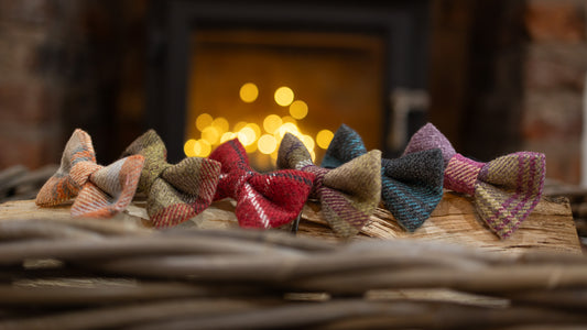 Tweed & Tartan Dog Bow Tie