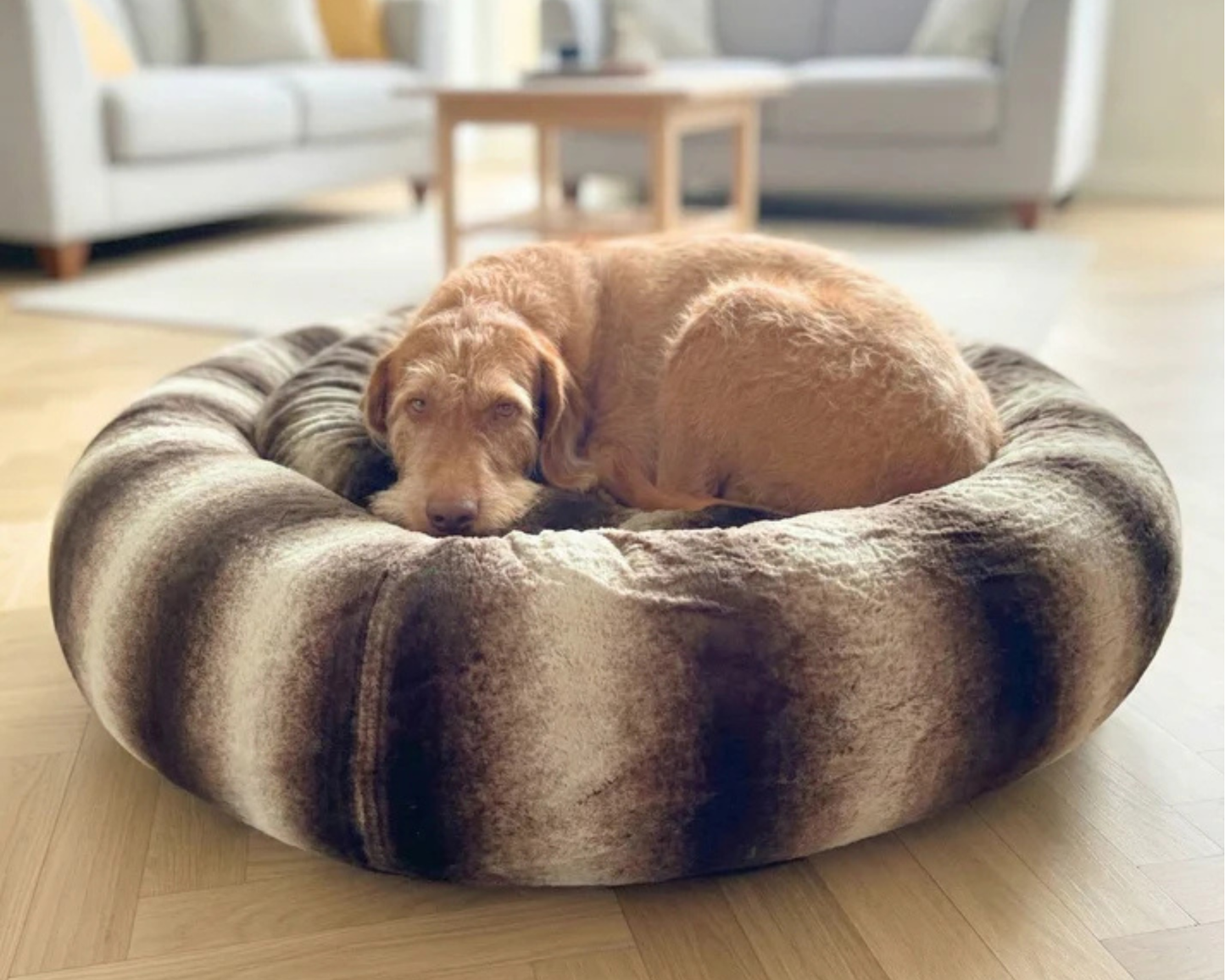 Luxury Donut Dog Bed