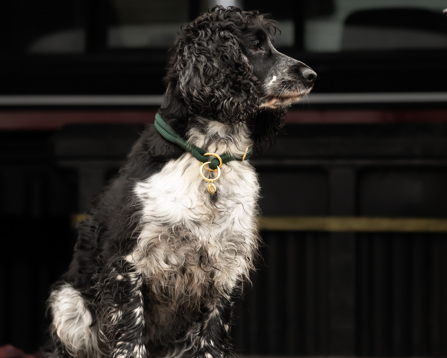 Field Collection Slip Collar
