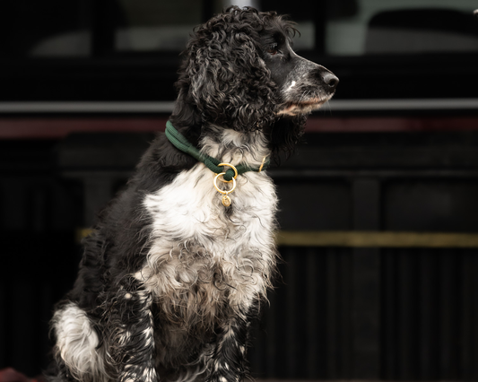Field Collection Slip Collar