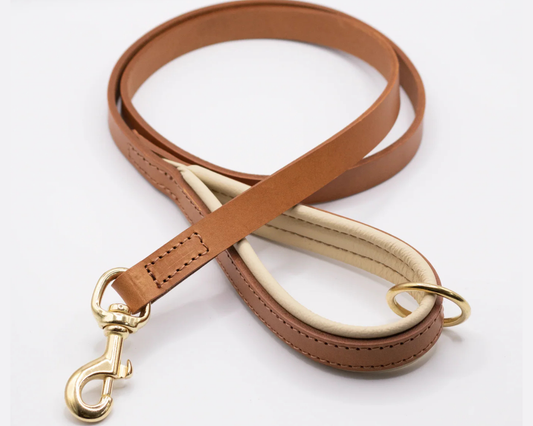 Padded Leather Dog Lead