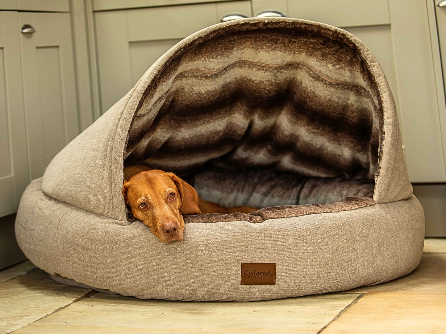 Deluxe Comfort Cocoon Dog Bed