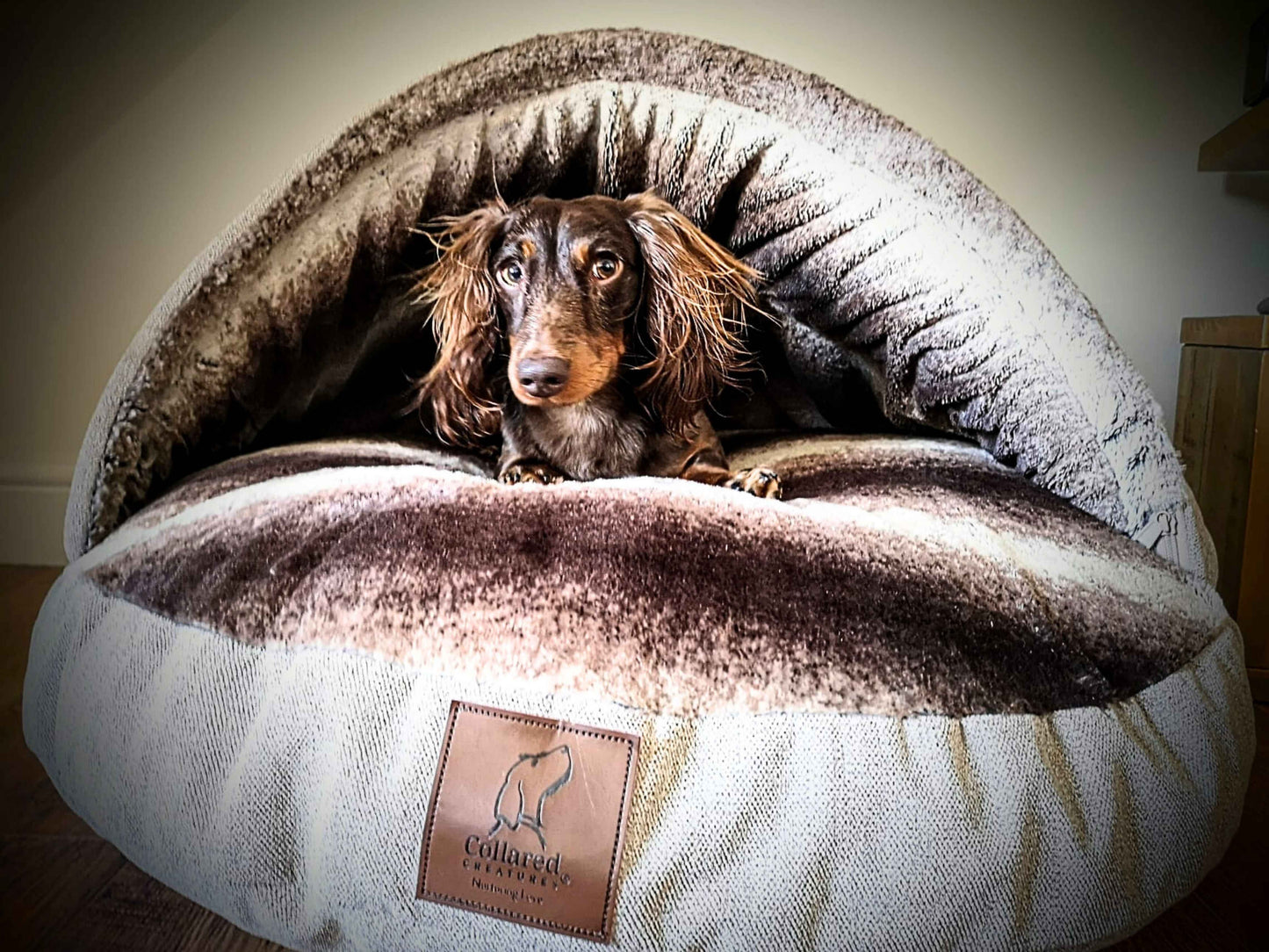 Luxury Dog Cave Bed with Removable Firm hood