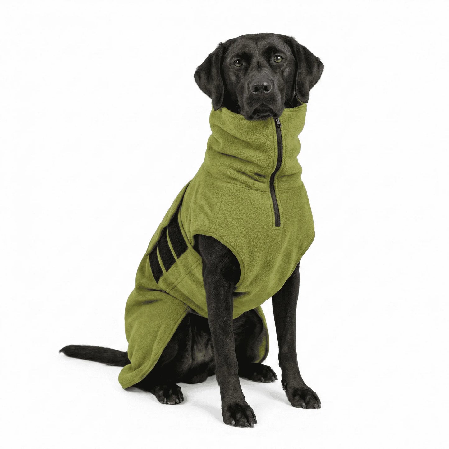 Superior Perfectly Practical Dog Drying Coat