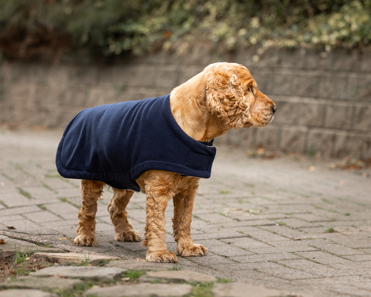 Country Fleece Dog Coat