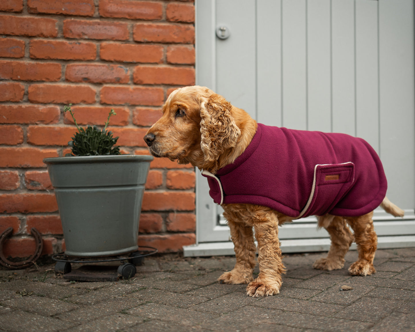 Country Fleece Dog Coat