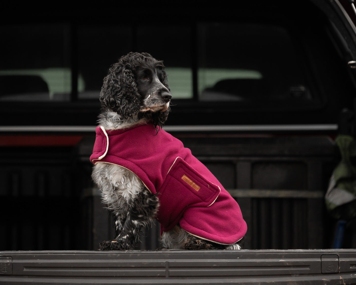 Country Fleece Dog Coat