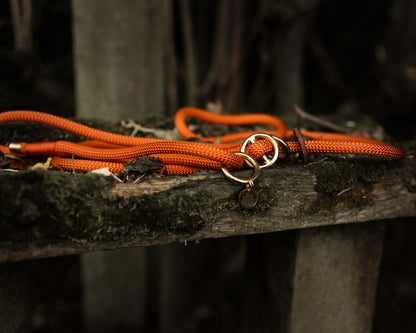 Field Collection Slip Lead