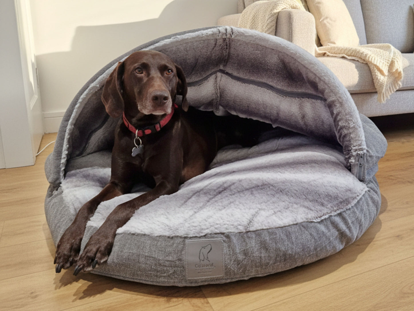 Luxury Dog Cave Bed with Removable Firm hood
