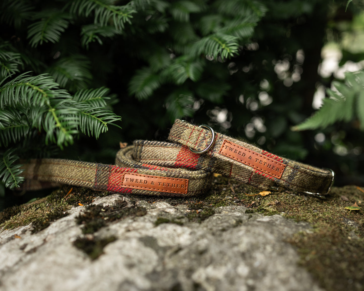 Tweed & Tartan Dog Collar