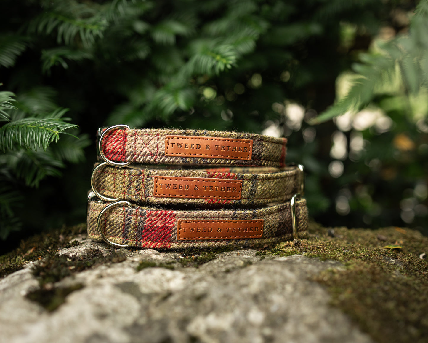 Tweed & Tartan Dog Collar