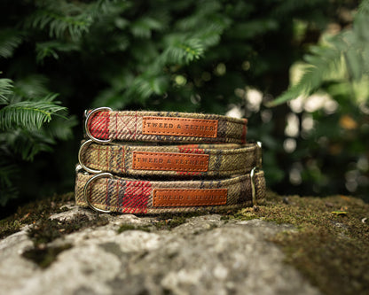 Tweed & Tartan Dog Collar