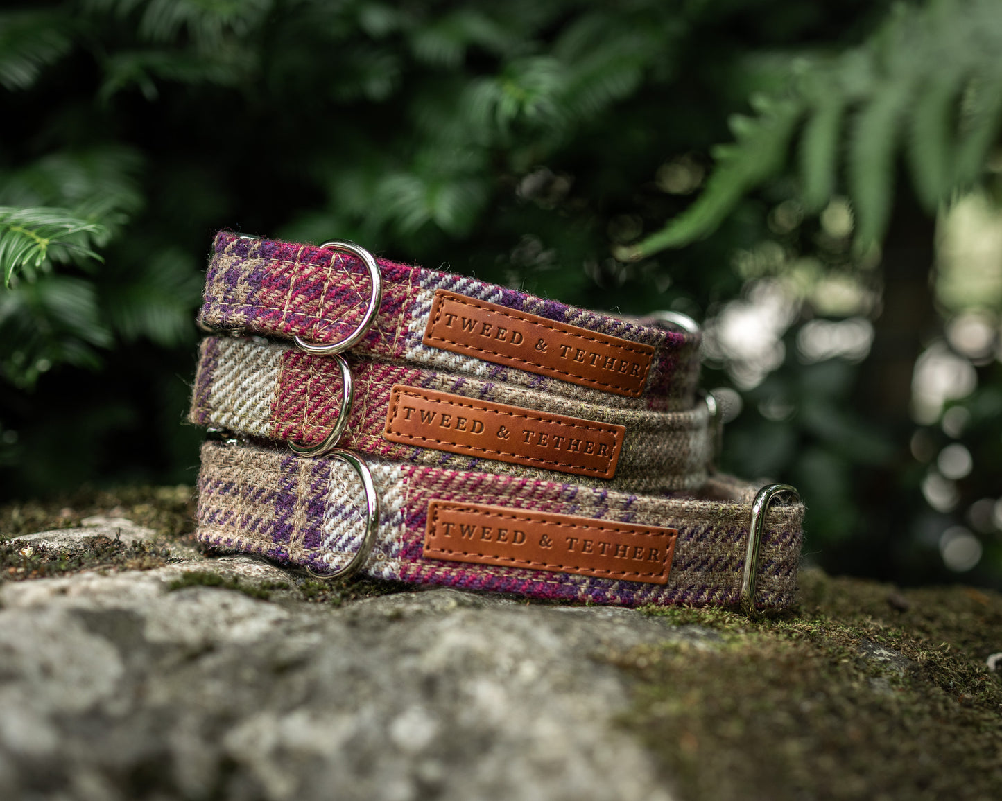 Tweed & Tartan Dog Collar
