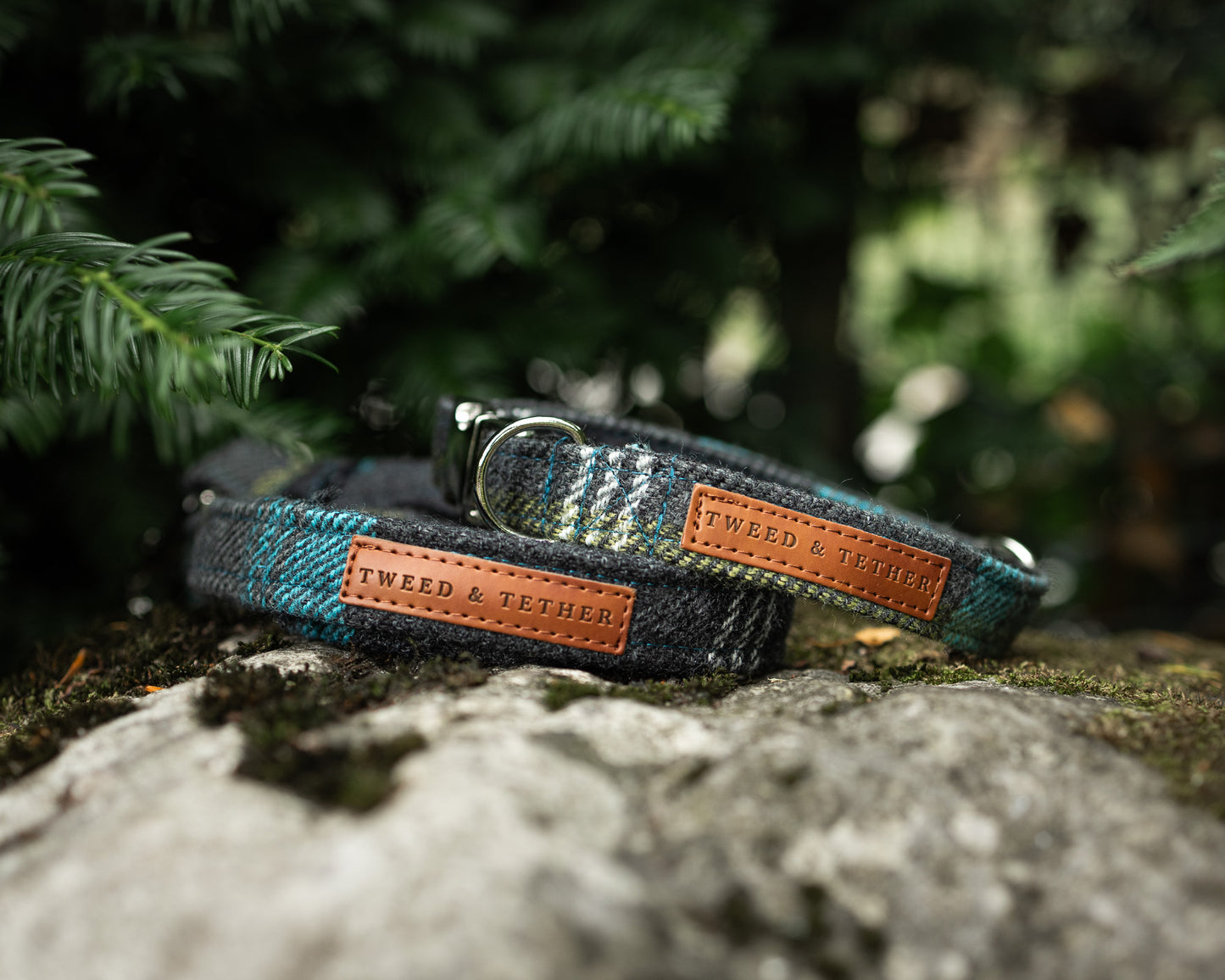Tweed & Tartan Dog Collar