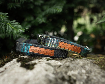 Tweed & Tartan Dog Collar