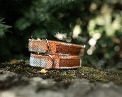 Tweed & Tartan Dog Collar