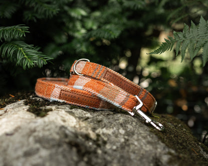 Tweed & Tartan Dog Collar