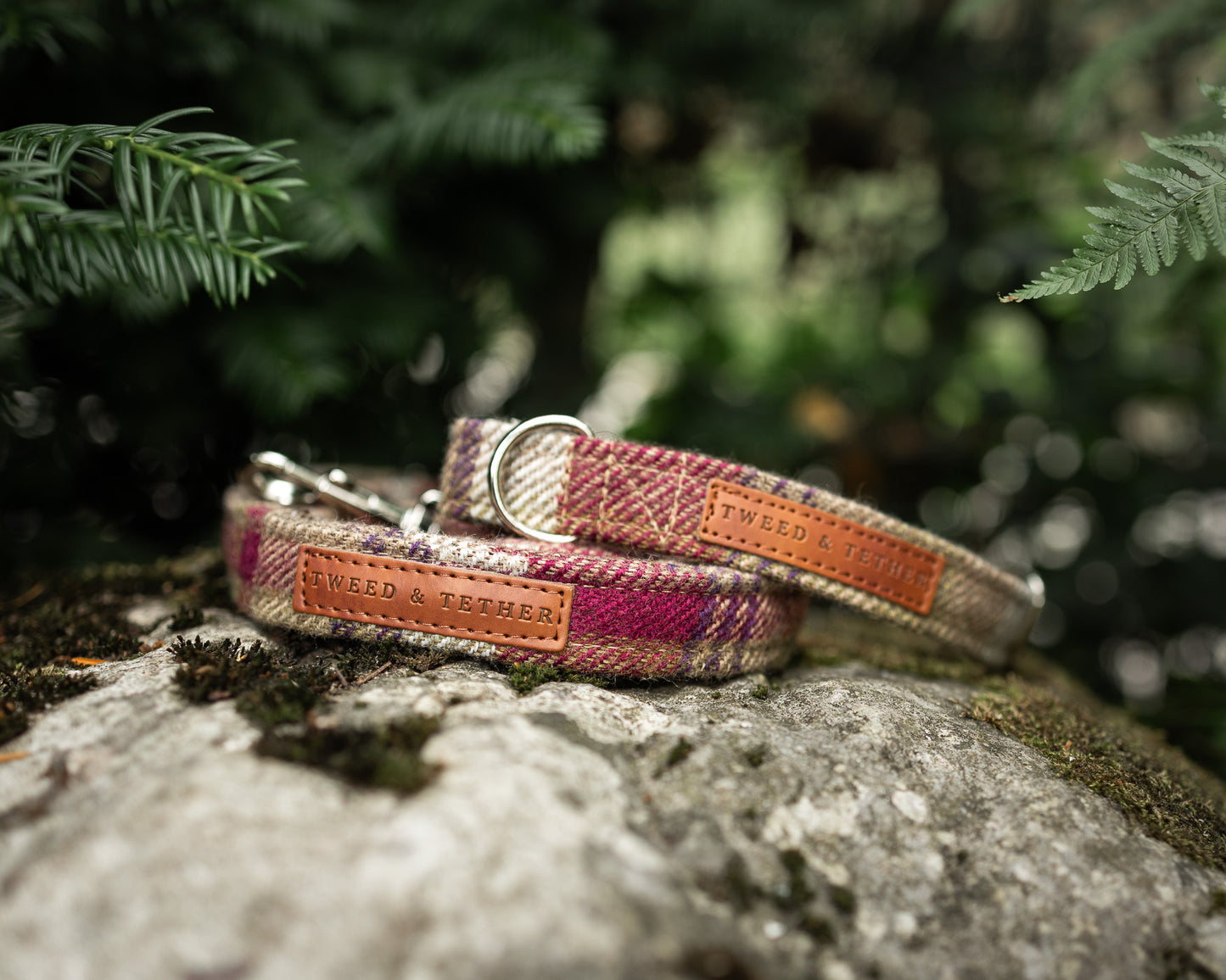 Tweed & Tartan Dog Collar