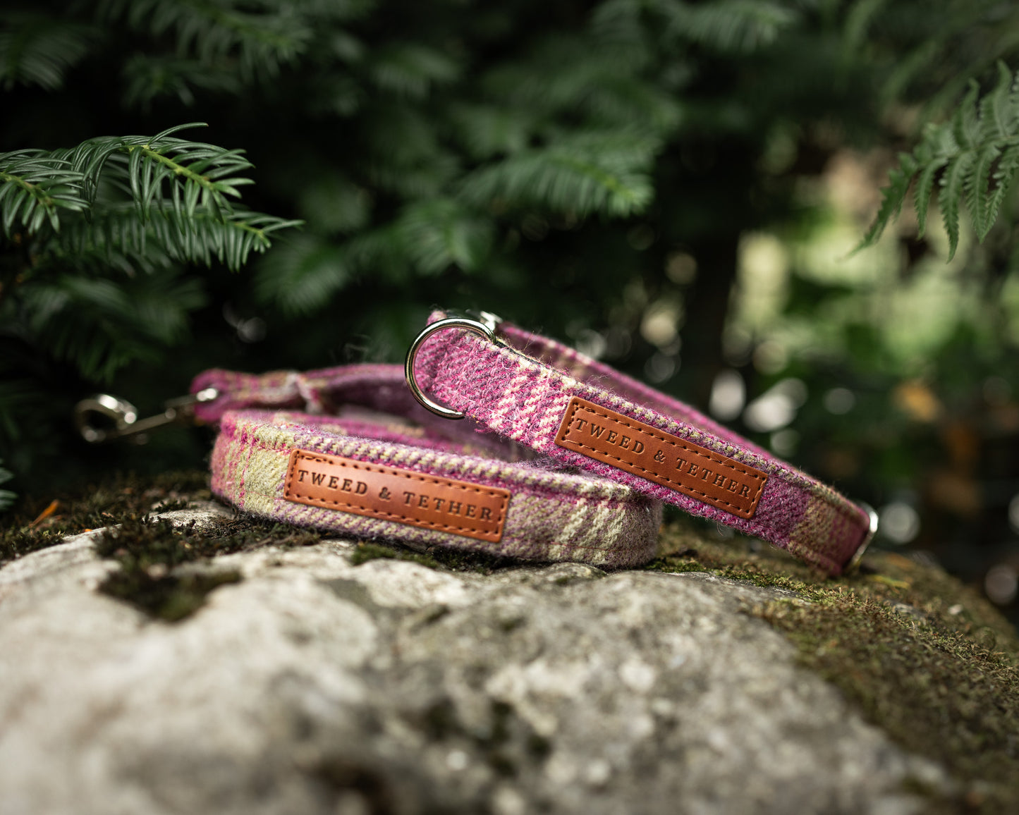 Tweed & Tartan Dog Collar