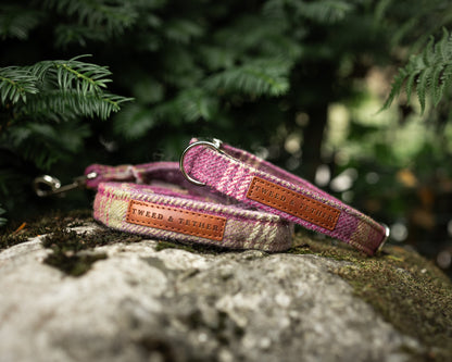 Tweed & Tartan Dog Collar