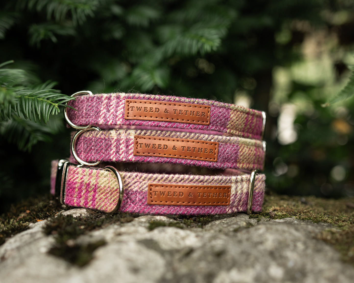 Tweed & Tartan Dog Collar