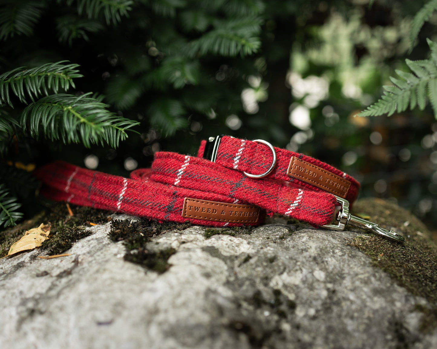 Tweed & Tartan Dog Collar