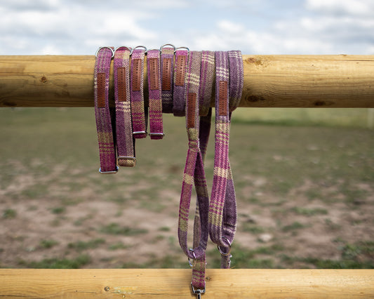 Tweed & Tartan Dog Lead