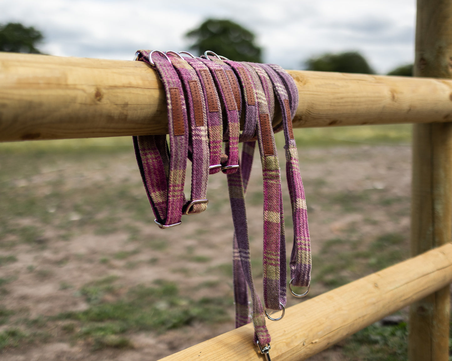 Tweed & Tartan Dog Lead