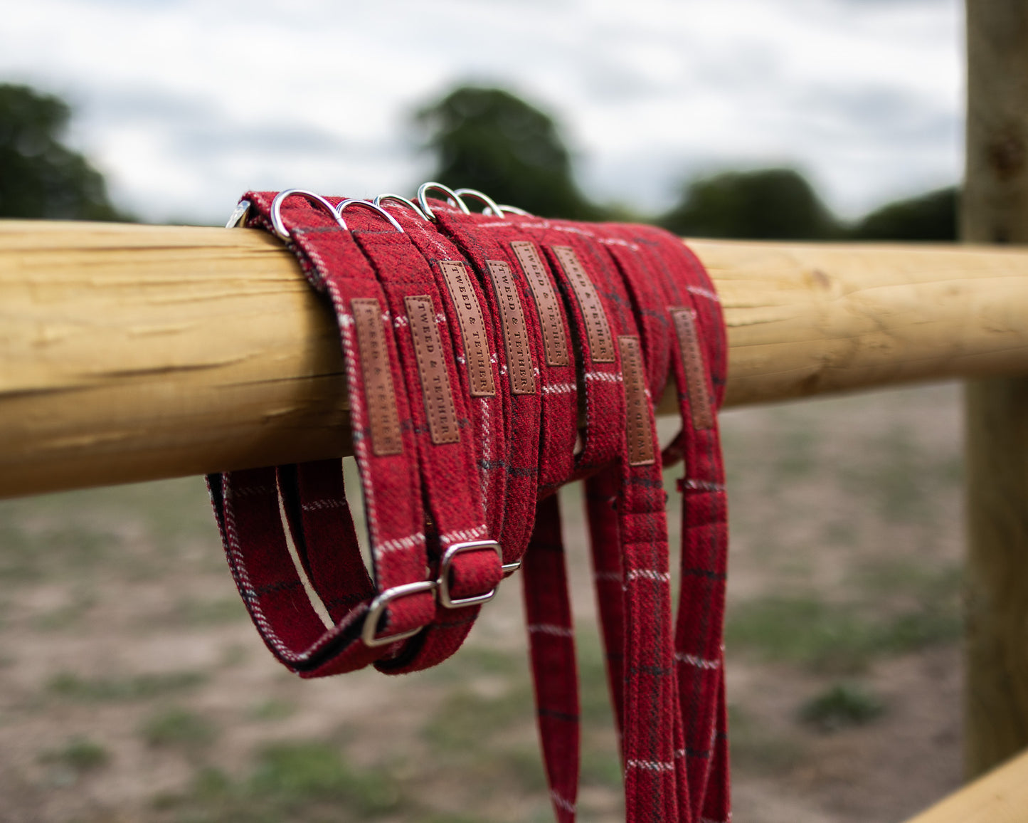 Tweed & Tartan Dog Lead